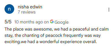 Google Review